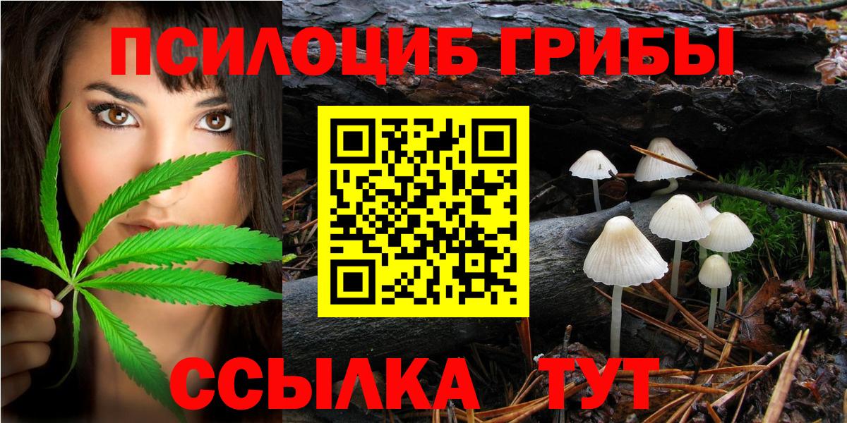 Мичуринск  Псилоцибиновые грибы ЛСД  Вход с VPN 