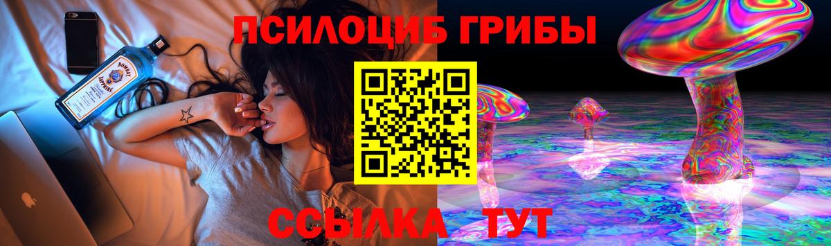 Псилоцибиновые грибы Cubensis Мичуринск